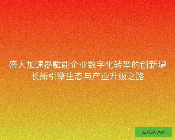 盛大加速器赋能企业数字化转型的创新增长新引擎生态与产业升级之路