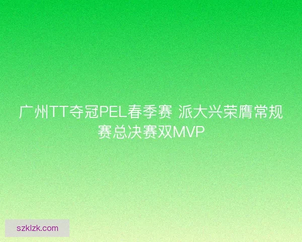 广州TT夺冠PEL春季赛 派大兴荣膺常规赛总决赛双MVP